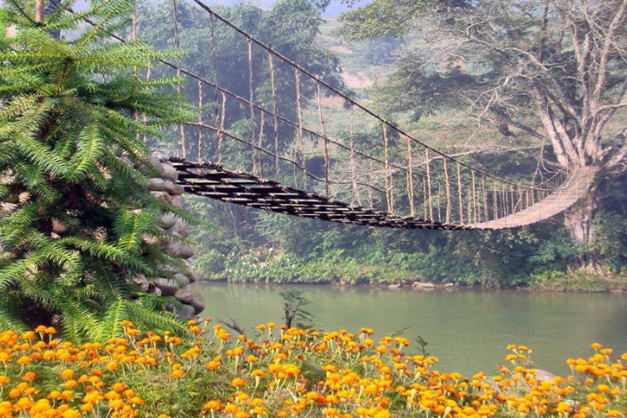 Cloud Bridge Sapa